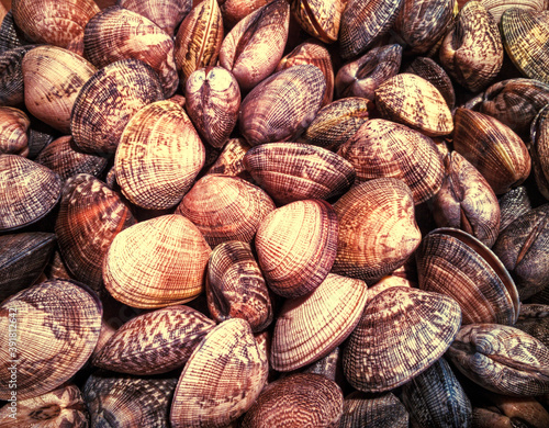 Full frame of cockles in a seafood market
