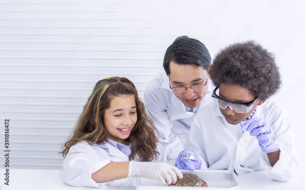African black boy and caucasian girl studying science in classroom at school African black boy and caucasian girl studying science in classroom at school