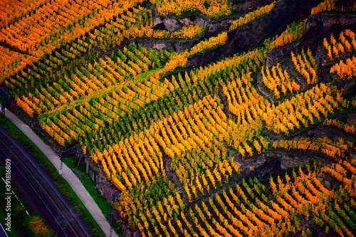 Herbstfarbenes unteres Msoeltal, Terassenmosel bei Dieblich photo