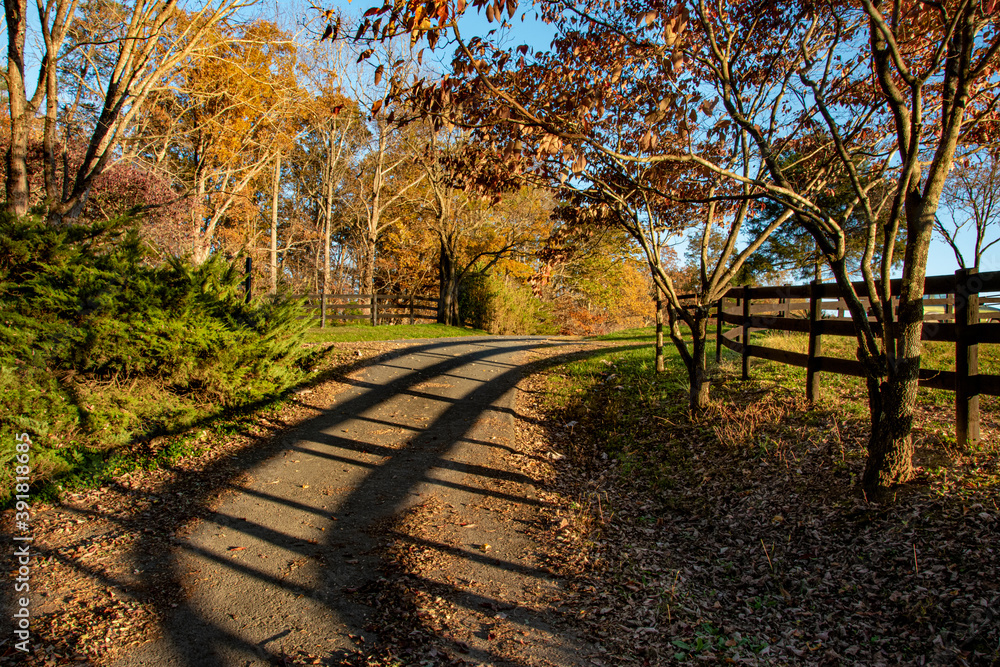 Naklejka premium Trees and shadow of fence along gravel road in central Virginia in autumn.