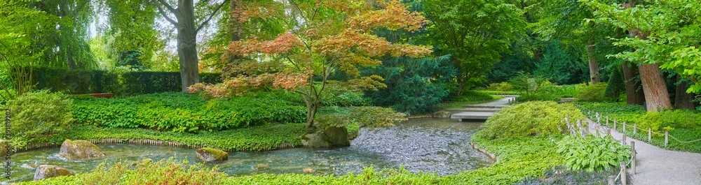 Beautiful Japanese garden with a small stream, in panorama format. Beautiful Japanese garden with a small stream, in panorama format.
