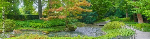 Beautiful Japanese garden with a small stream  in panorama format.