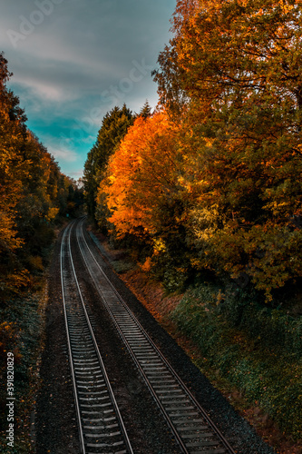 Railway road throught the gloomy dark autumn forest