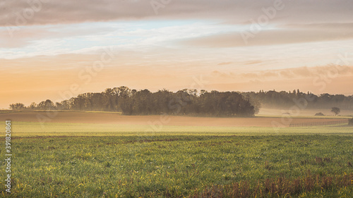Dans les champs D Auvers sur Oise un matin d Automne