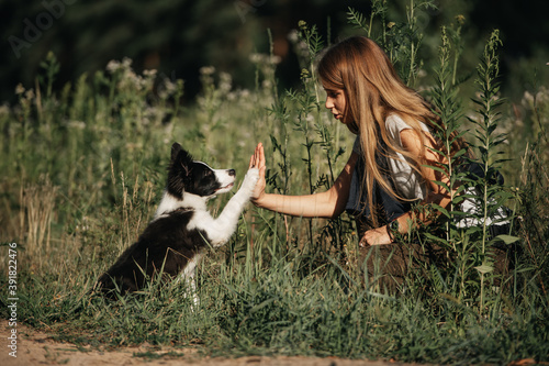 Girl training black and white border collie dog puppy