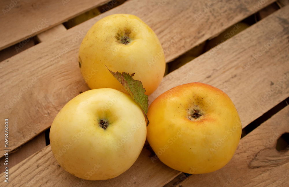 Organic diet - homemade apples on wooden planks background Organic diet - homemade apples on wooden planks background