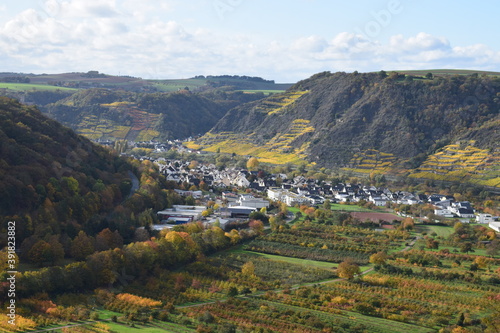 Herbstfarbenes unteres Msoeltal, Terassenmosel bei Dieblich photo