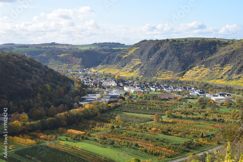 Herbstfarbenes unteres Msoeltal, Terassenmosel bei Dieblich photo