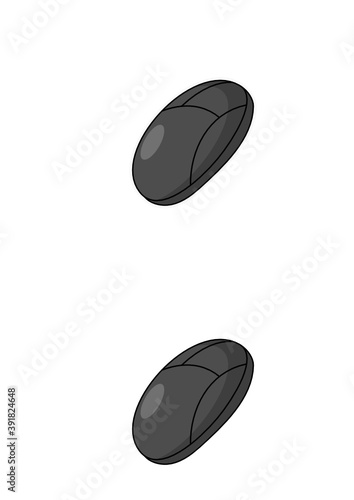 Computer Mouse