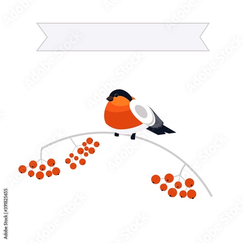 bullfinch bird sitting on a branch of mountain ash any inscription banner