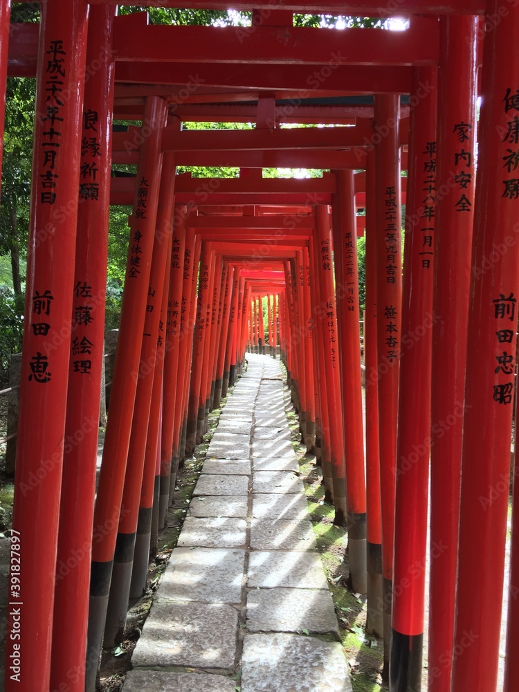 Fototapeta premium Alignement de torii au Japon