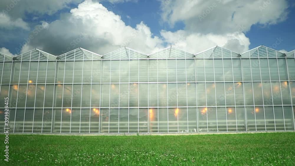 Greenhouse green agricultural hydroponic building under blue sky on summer day spbd.Motion shot of facade of glass building with growing crops inside and green grass outside. Modern glasshouse in Greenhouse green agricultural hydroponic building under blue sky on summer day spbd.Motion shot of facade of glass building with growing crops inside and green grass outside. Modern glasshouse in