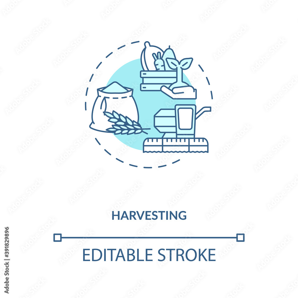 Harvesting concept icon. Agriculture machines types. Gathering fully grown plants on farm lands idea thin line illustration. Vector isolated outline RGB color drawing. Editable stroke