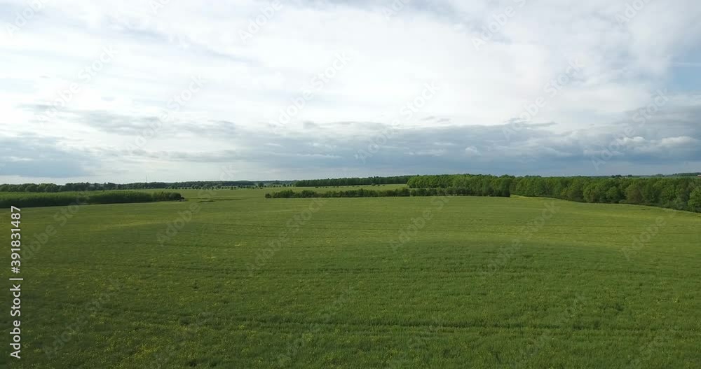 Beautiful Green Open Field With Trees and a Dramatic Sky in South Sweden Skåne Österlen, Aerial Forward Slow Beautiful Green Open Field With Trees and a Dramatic Sky in South Sweden Skåne Österlen, Aerial Forward Slow