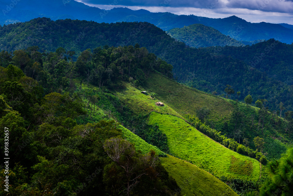 Beautiful landscape of mountain view and tropical rain-forest