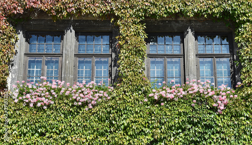 Fenster vom Rathaus Quedlinburg