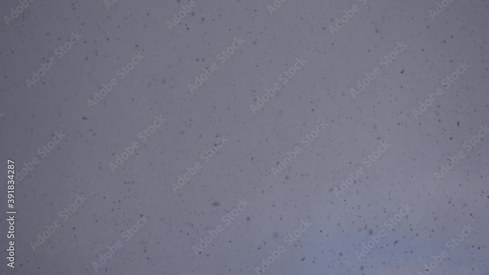 Snowfall Snowfall