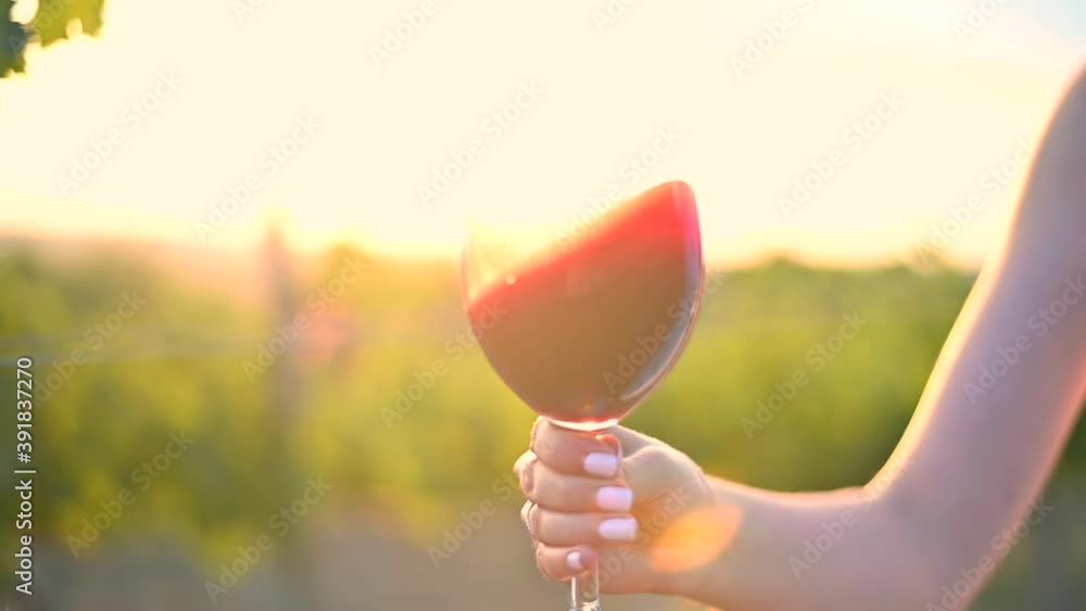 Glass of red wine shaking at sunset, slow motion Glass of red wine shaking at sunset, slow motion