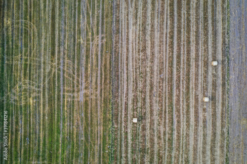 Drone high angle view of straw bales on a field around small Jaczew village, Gmina Korytnica, Mazovia Province of Poland