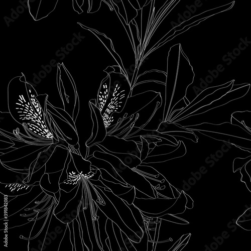 Line Rhododendron Cosmopolitan flowers, black white outline on a vintage background. Seamless pattern.