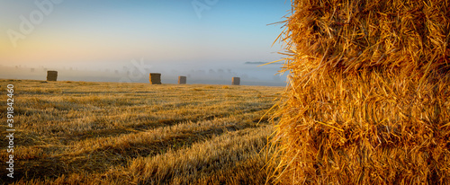 Beautiful view of haystacks in farm field during foggy sunrise. © valeriy boyarskiy