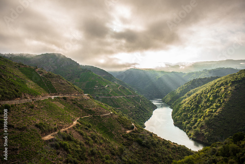 Atardecer en la Ribeira Sacra con vistas a los viñedos colgantes y el rio Sil. (Galicia, España) photo