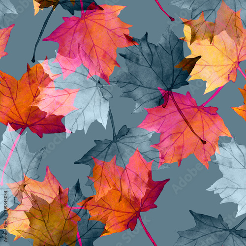 Maple leaves.Assorted autumn leaves.Art.Picture on white and colored background.