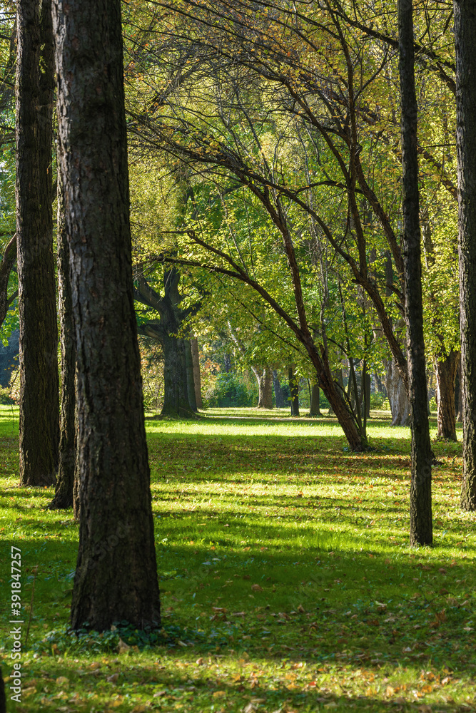 Sunny view of park of holiday hotel near Klyazma reservoir, Moscow region, Russia.