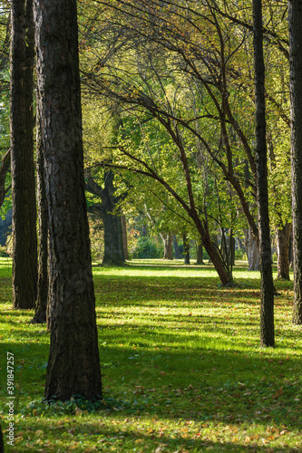 Sunny view of park of holiday hotel near Klyazma reservoir, Moscow region, Russia.