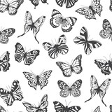Seamless pattern with line images of butterflies, flat vector illustration.