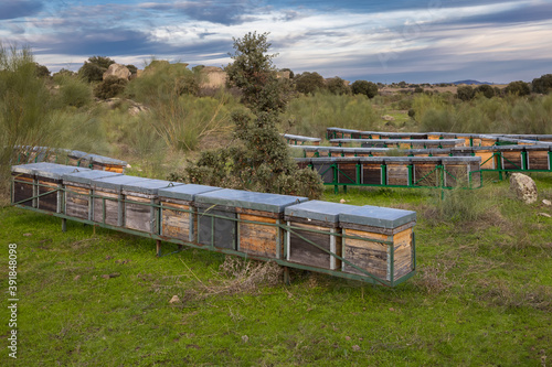 Landscape with beehives in the Barruecos. Extremadura. Spain.
