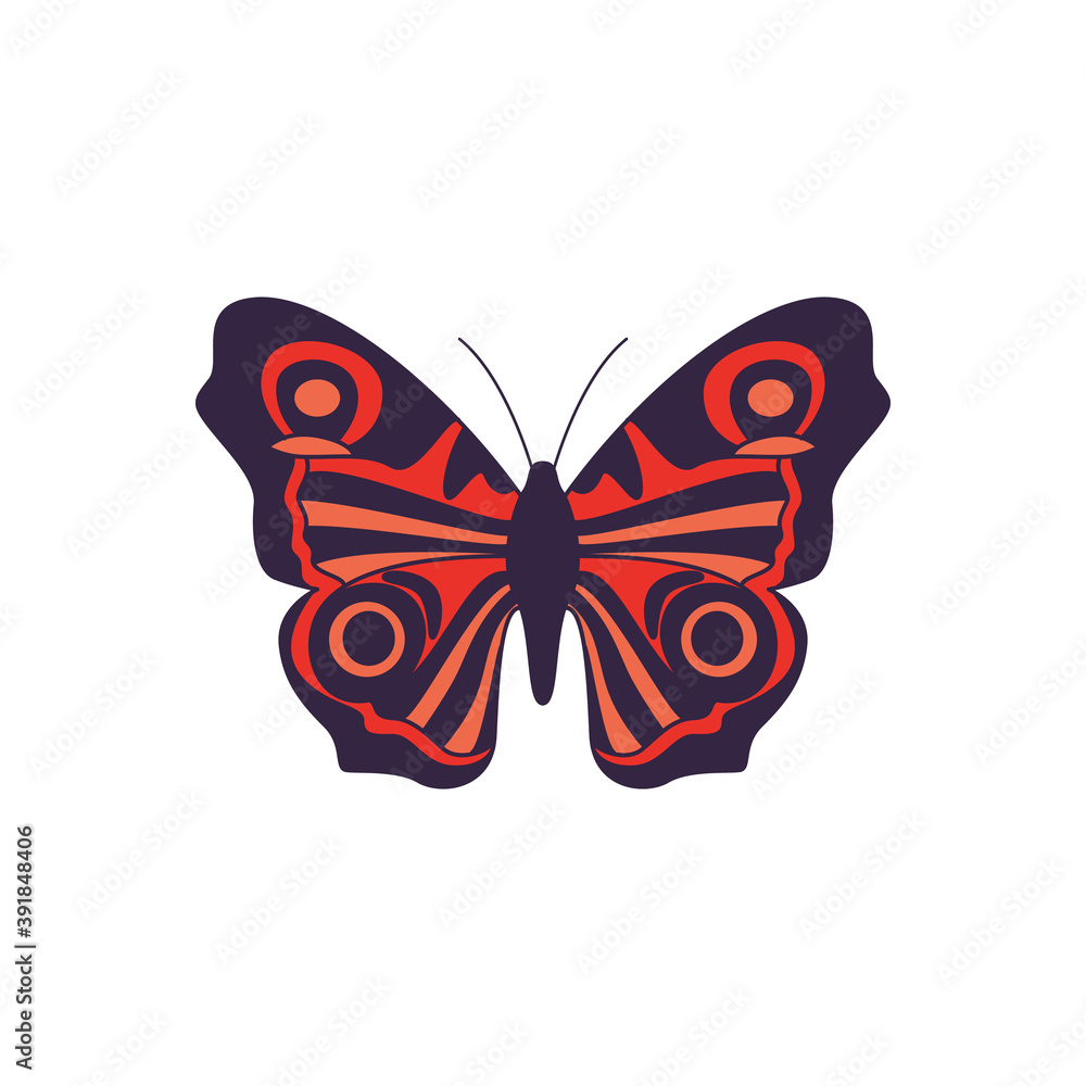 Beautiful butterfly with orange wings flat cartoon vector illustration isolated. Beautiful butterfly with orange wings flat cartoon vector illustration isolated.