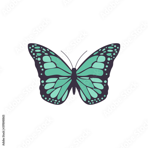 Vector illustration of black butterfly with symmetrical blue pattern on wings