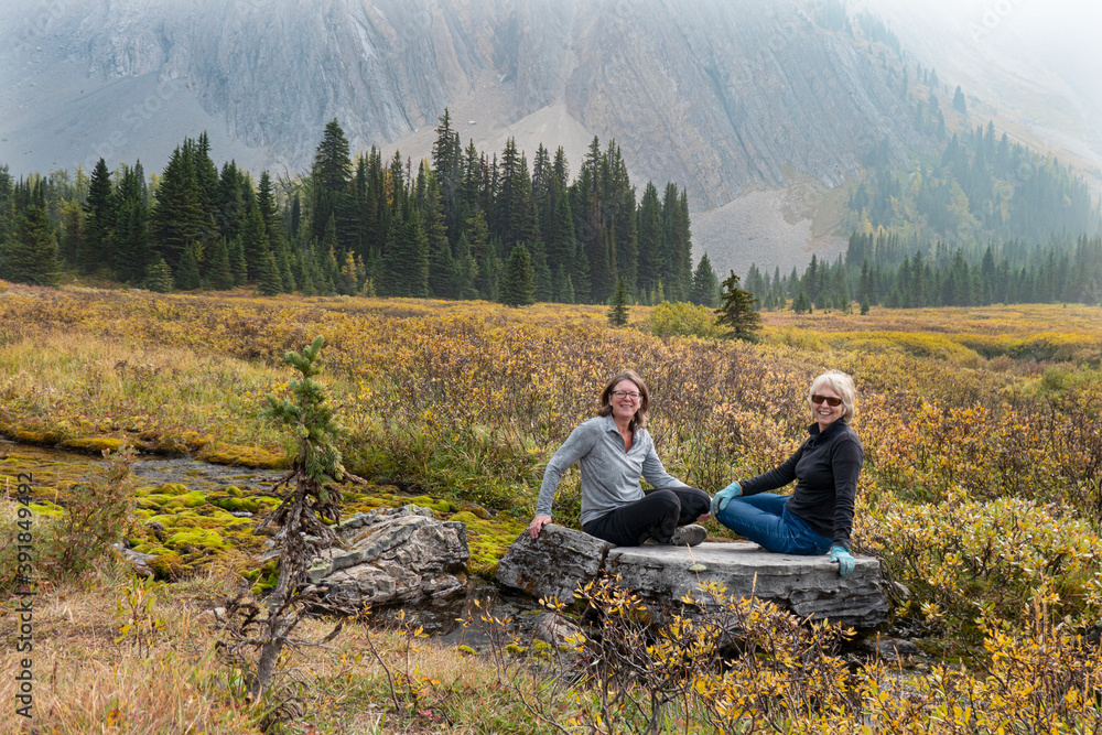 friends in the mountains