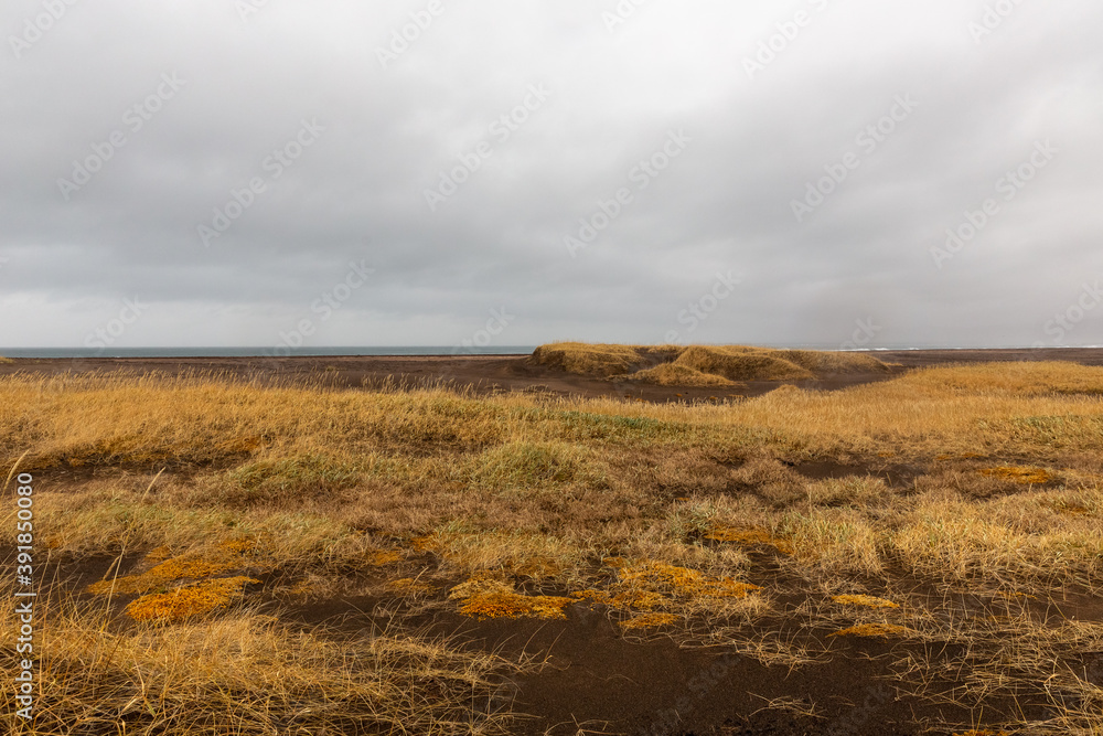 cloudy day at beach with grass and sand on Reykjanes peninsula, Iceland cloudy day at beach with grass and sand on Reykjanes peninsula, Iceland