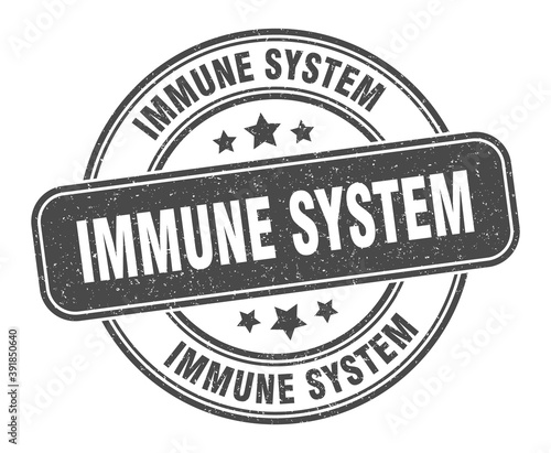 immune system stamp. immune system label. round grunge sign