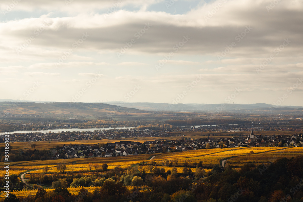 Panorama Weinberge