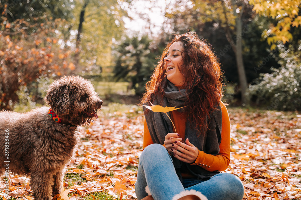 A brunette woman playing with her dog in the park in a sunny autumnal day. She is looking at her dog while playing with it. Lifestyle and outdoors pets in autumn. A brunette woman playing with her dog in the park in a sunny autumnal day. She is looking at her dog while playing with it. Lifestyle and outdoors pets in autumn.