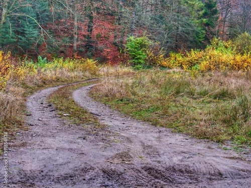 path in the field