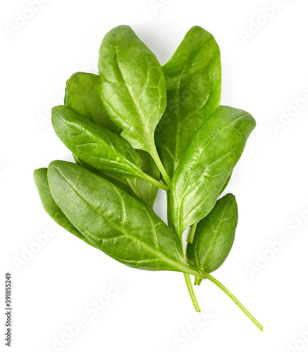 Spinach bunch of fresh green leaf. Healthy eating natural organic vegetable. Greens with bed, isolated on white background.