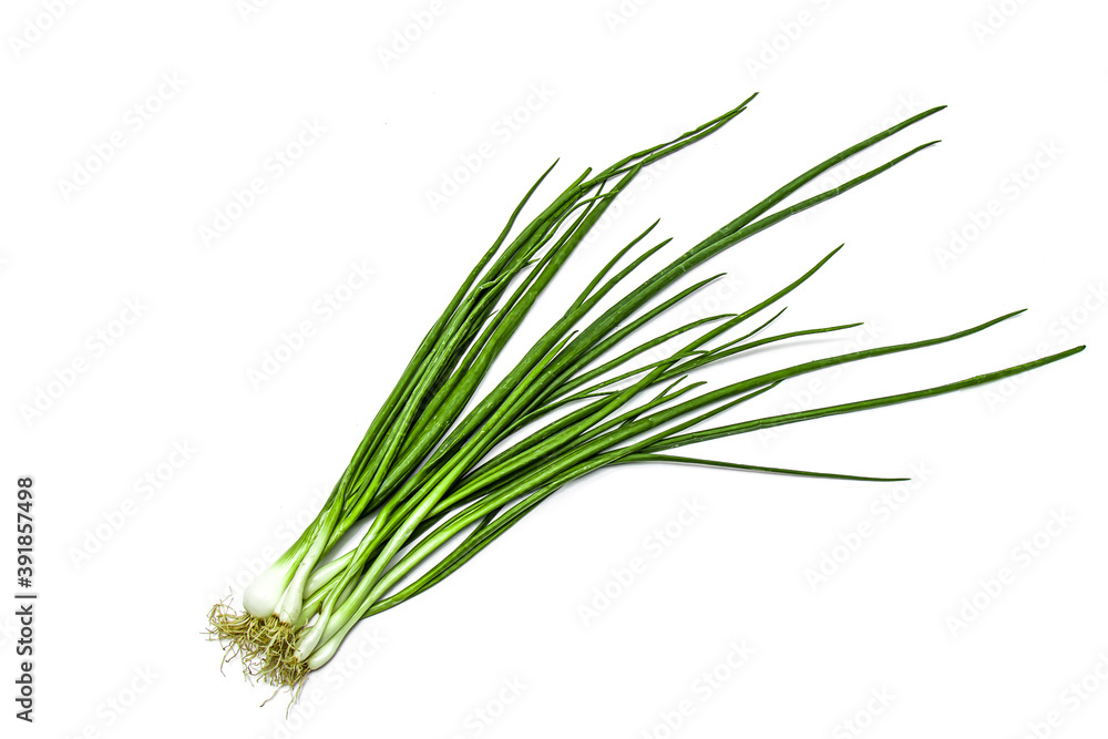 Green onion isolated on the white background Green onion isolated on the white background