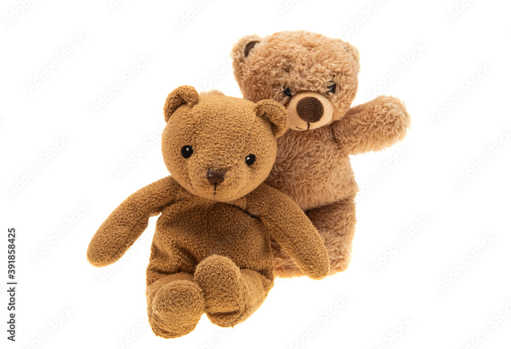 soft toy bear isolated
