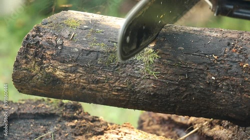 Close Up Cutting Wood With A Chainsaw