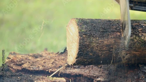 Chainsaw In Action Cutting Wood