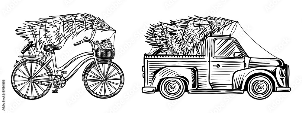 Car and Bicycle with a Christmas tree. Spruce in the luggage of the truck. Delivery concept. Vector illustration for label, badge, logo, postcard or banner. Hand drawn Vintage engraved sketch. 
