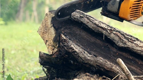 Cutting Wood With A Chainsaw, Sound