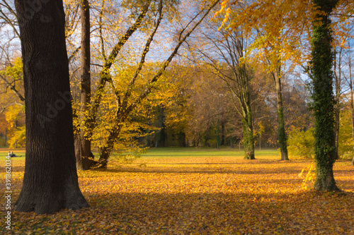 Park during the autumn in Berlin
