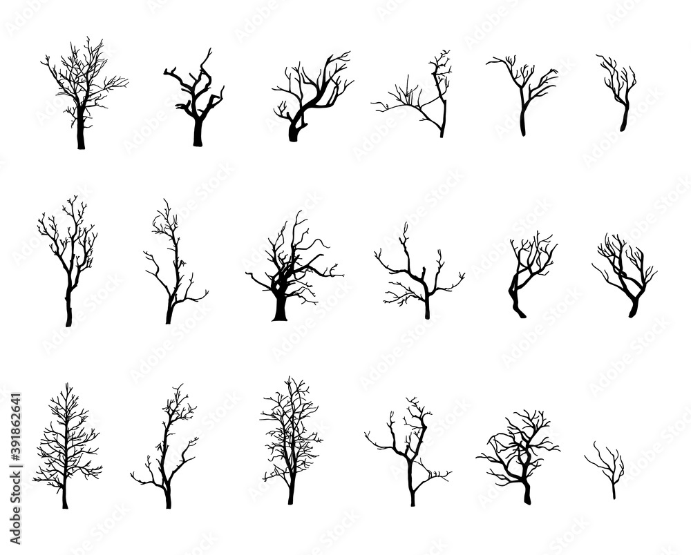 Fototapeta premium Collection of trees silhouettes without leaves isolated on white background. Black twisted branches. Illustration.