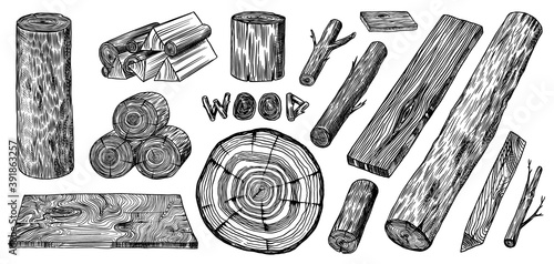 Wood set. Planks and logs, lumber and Cuts, Firewood in vintage style. Pieces of Tree. Vector illusion for signboard, labels, logo or banner. Campfire material. Engraved Hand drawn sketch.