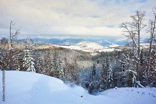 Landscape in the mountains in winter. The forest is covered with snow